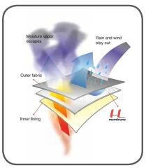 Ferrino Valdez Kadın Ceket Siyah - S